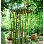 Bamboo Hut In Kerala