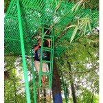 Tree Hut @ kauthukapark